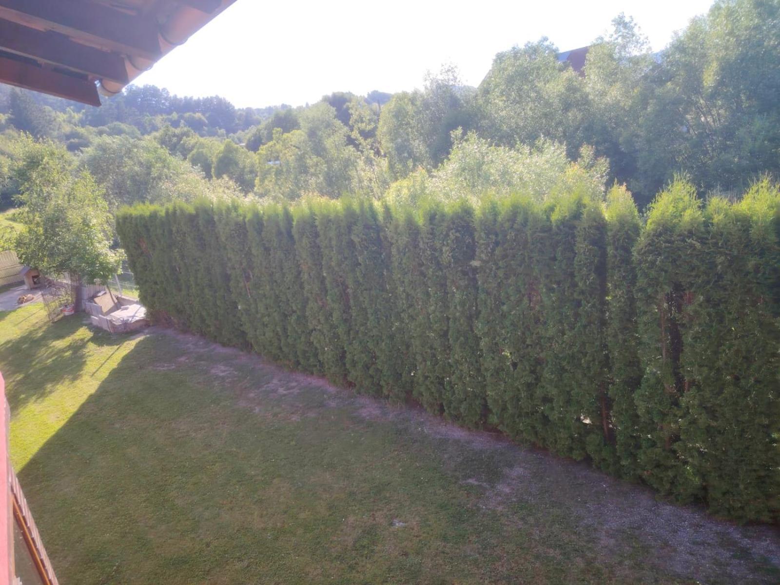 Pensiunea Floro Intorsura Buzaului Exterior foto